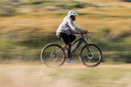 E-BIKE Schwinn Ridgewood