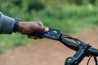 E-BIKE Schwinn Ridgewood