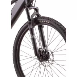 E-BIKE Schwinn Ridgewood