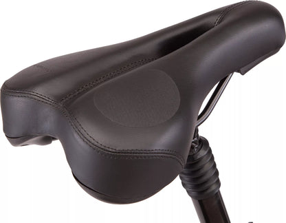 E-BIKE Schwinn Ridgewood