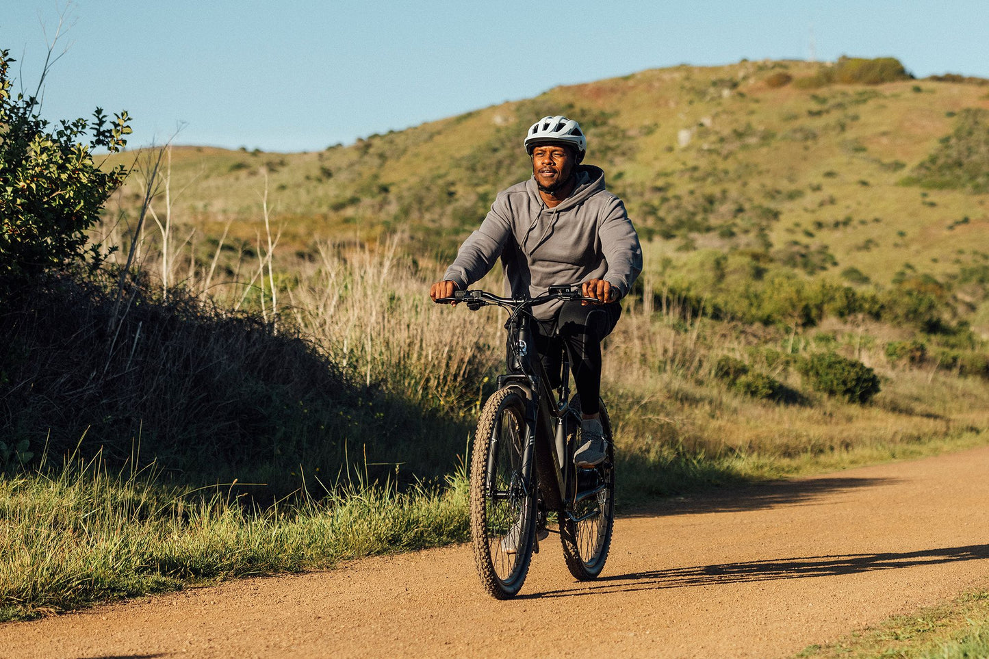 E-BIKE Schwinn Ridgewood